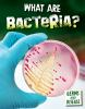 What_are_bacteria_