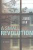 A_small_revolution