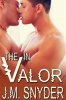 The_V_In_Valor
